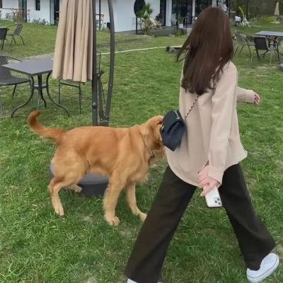 凡夫俗女